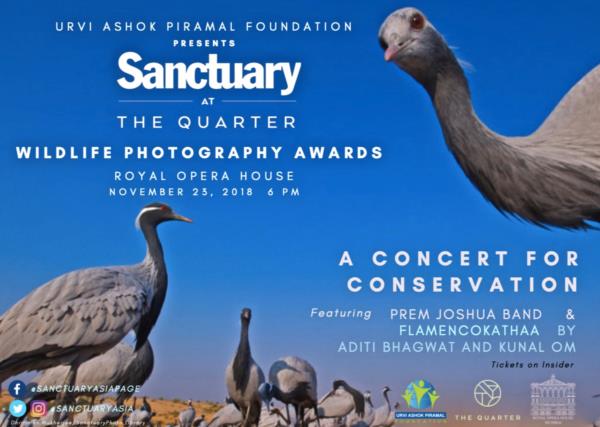 Sanctuary At the Quarter: A Concert For Conservation